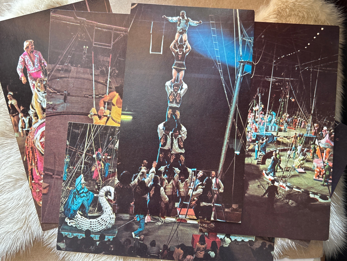 Vintage Ringling Bros. Postcard Set