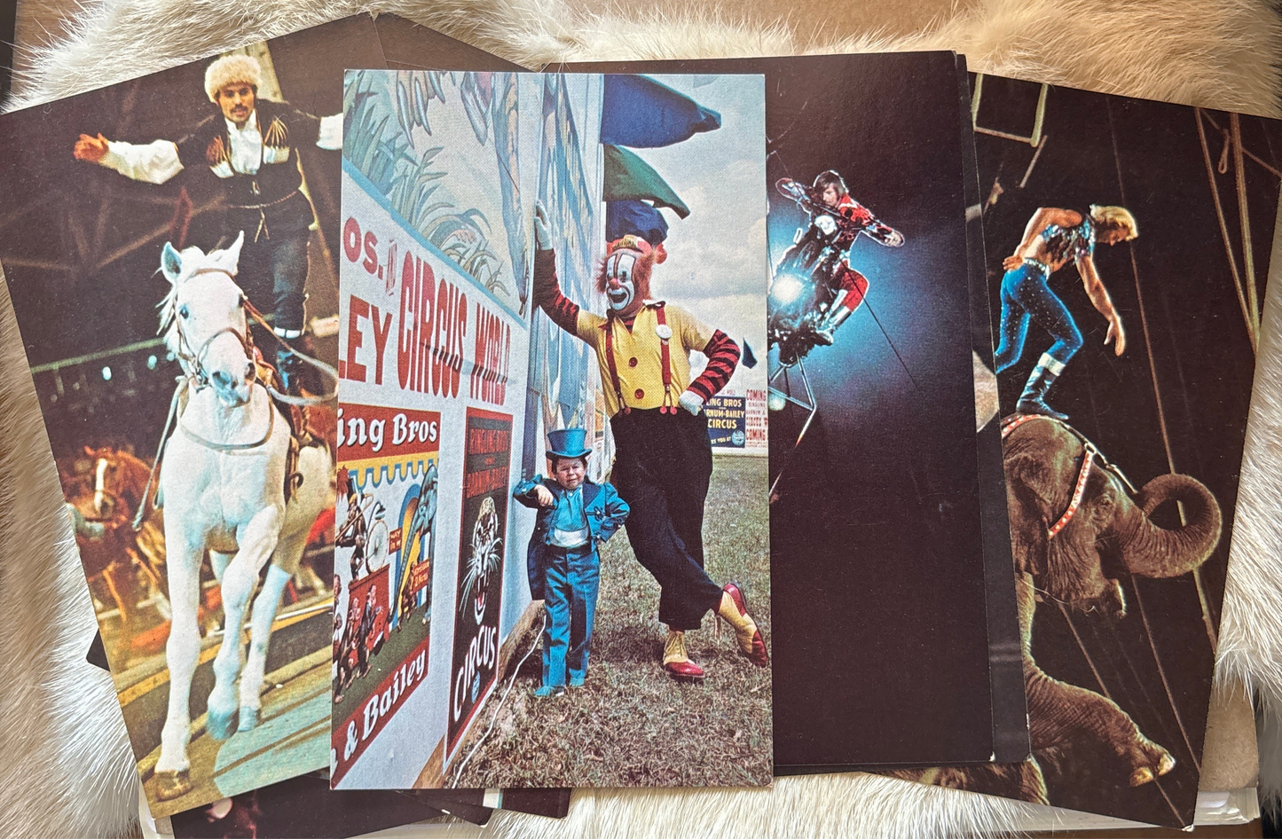 Vintage Ringling Bros. Postcard Set