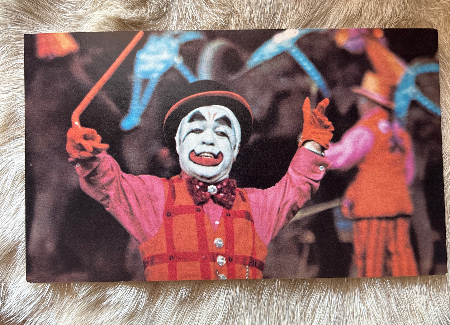 Vintage Ringling Bros. Postcard Set