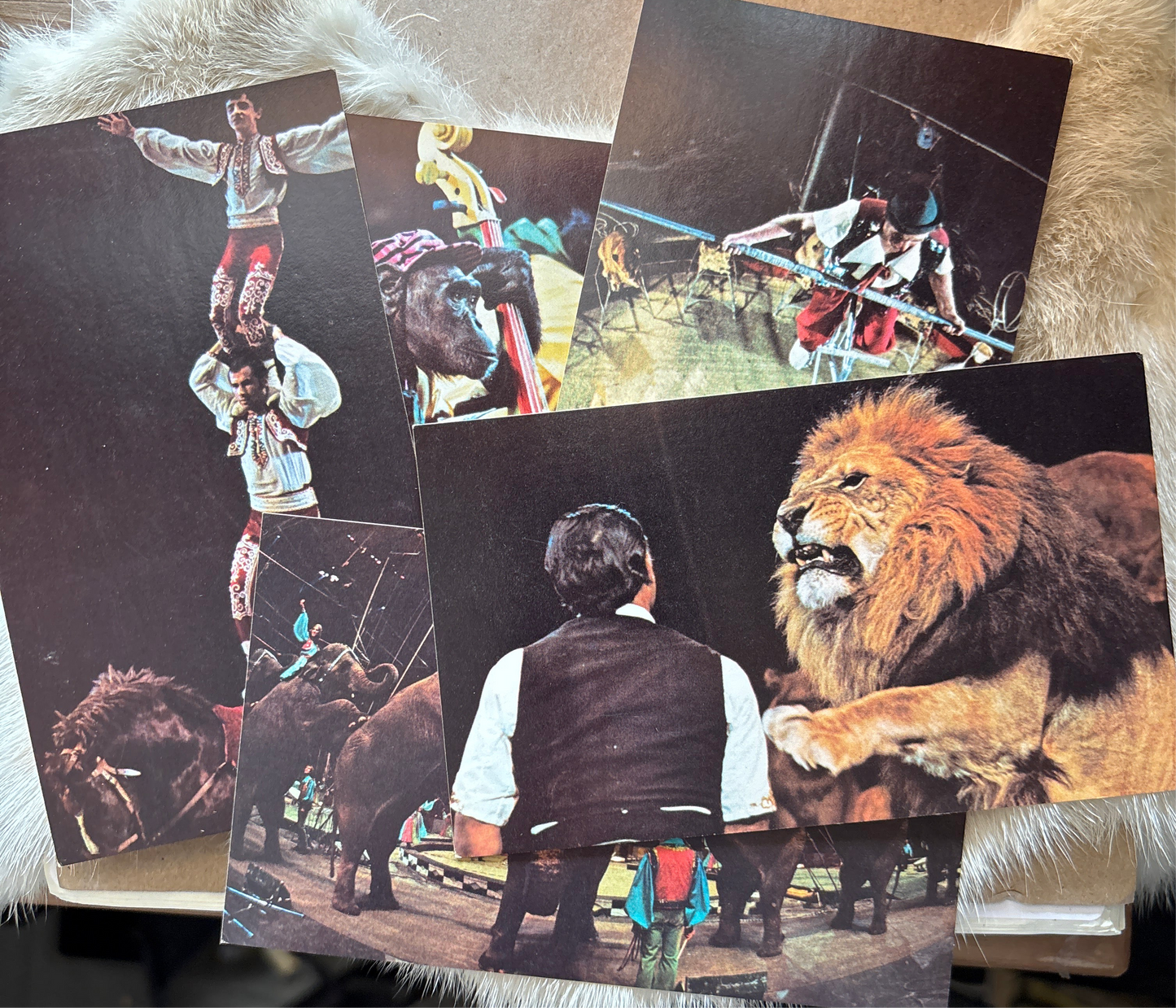 Vintage Ringling Bros. Postcard Set
